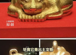 南京博物院镇馆之宝：金兽传奇再现辉煌